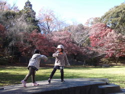 浜松城公園