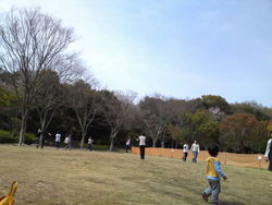のびのび