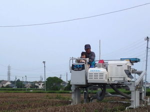ごろう