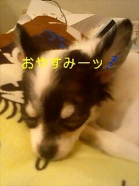 疲れましたッ!! 2006/07/05 22:33:12