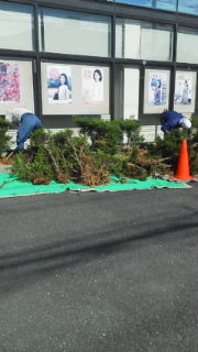 花壇のリセット 2012/09/29 08:51:15