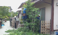 ゆめゆめ・・・ 2013/06/03 10:48:39