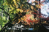 油山寺 2013/12/12 09:27:14