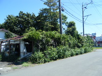 浜松外構　草刈り前