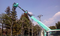 空師てきな！ 2011/03/29 21:19:21