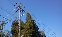 死なないための段取り 2011/03/31 18:12:50