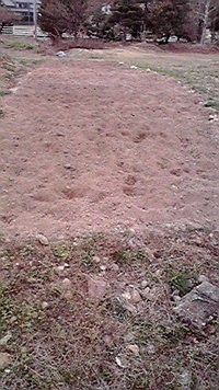 土起こし完了も・・ 2011/04/07 07:40:33
