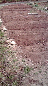 菜園再開！ 2011/04/18 10:09:37
