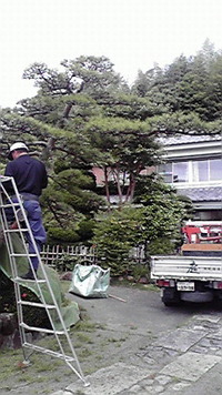 梅雨時といえば 2011/05/31 13:31:08