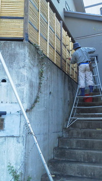 竹垣根 2011/10/24 14:45:59