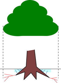 庭木に水をやる３つのコツ 2011/08/12 17:25:02