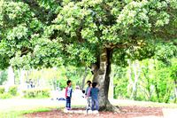 GW 2012/05/05 22:07:01