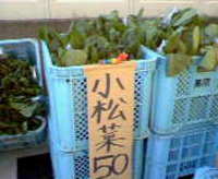 小松菜お買い得！ 2005/11/19 09:58:37