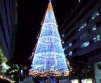 いよいよクリスマス 2005/12/01 18:10:00