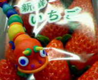 いちご 2006/01/14 09:47:00
