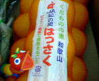 はっさく 2006/01/14 09:52:58