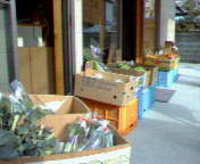朝市！ 2006/02/07 09:59:00