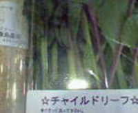 朝市！ 2006/03/28 10:14:42