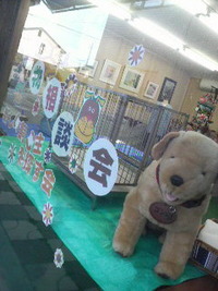 犬猫ふれあい広場 2009/05/03 00:00:00