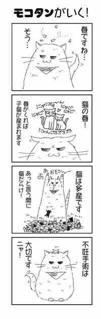 モコタンがいく！